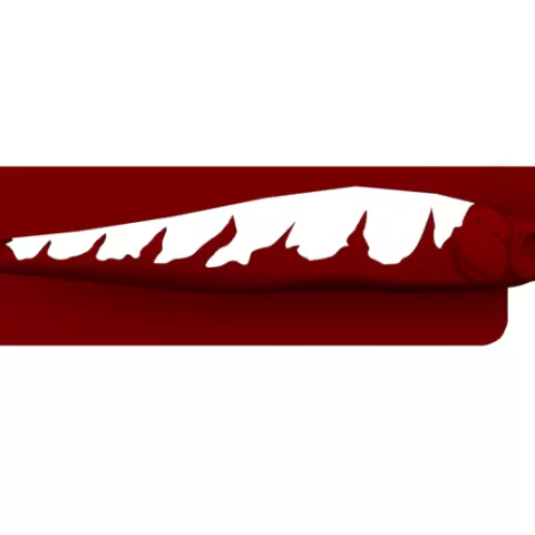 Lure Stencil - MB 110 (opcraw)