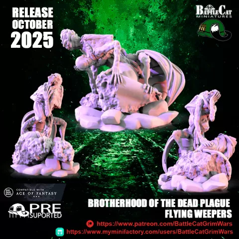 Brotherhood of the Dead Plague Flying Weapers by BattleCat Grim Wars