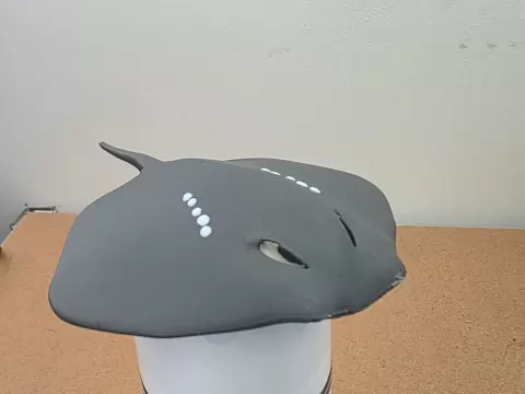 Eagle Ray (stingray)