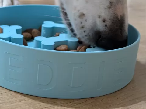 Custom Name Slow Feed Dog Bowl