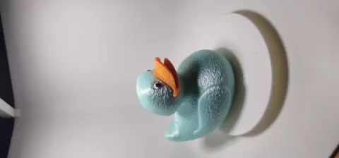 Frosted Duck