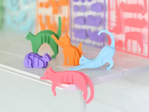 Cat Kit Cards Collection