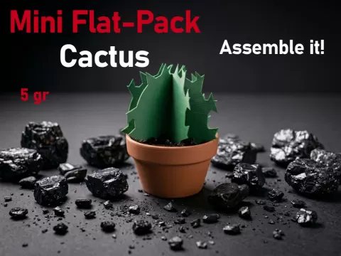 Mini Cactus (Build-It-Yourself)