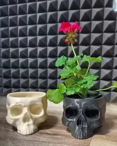 Skull Flower Pot