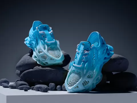 Whaleberry - a 3D printed thick-soled casual shoe