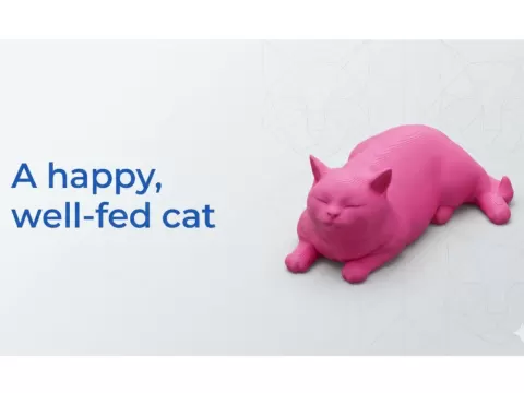 А happy, well-fed cat
