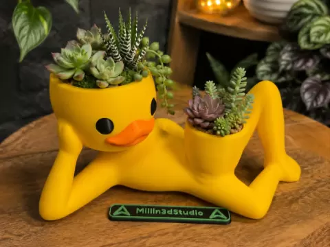 Rubber Ducky Succulent Planter