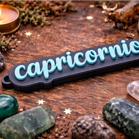 Capricornio Zodiaco