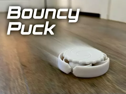 Bouncy Puck