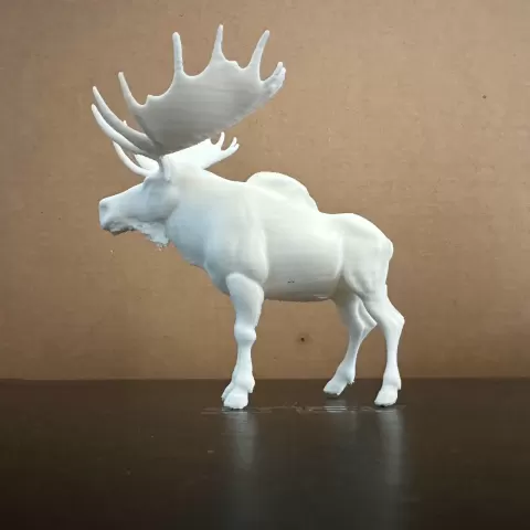 Moose