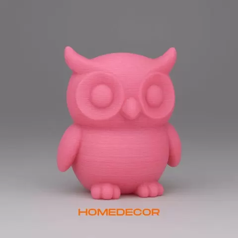 Cute Owl