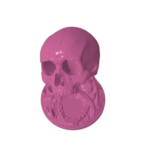 Skull head