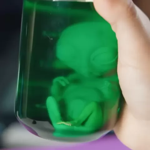 Alien Embryoby SY01