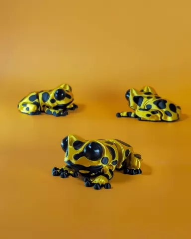 3DL Dart Frog