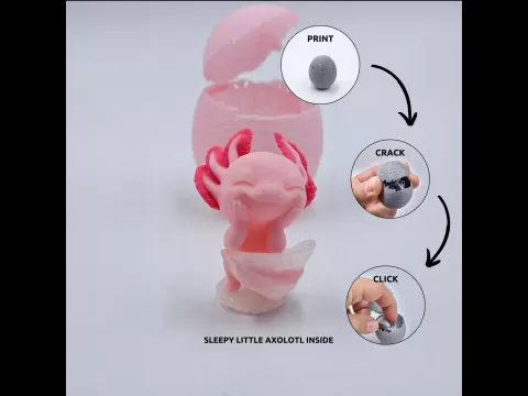 Animal - Egg - Axolotl