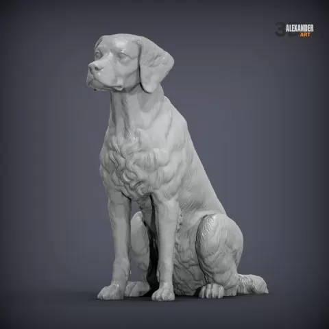 Brittany Spaniel Sitting by Alexander3dart