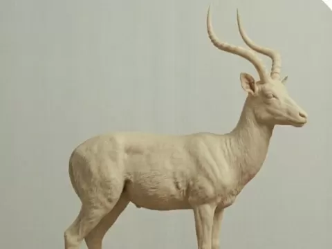 Impala - Simple and easy to print