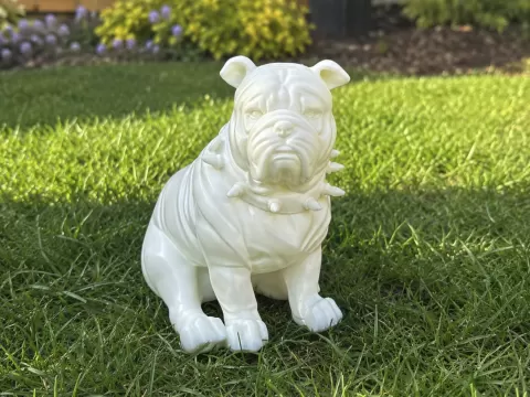 Brittish Bull Dog