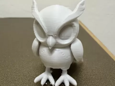Cute owl