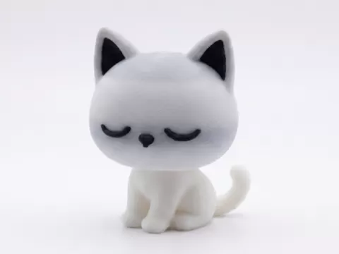 Cute Sitting cat
