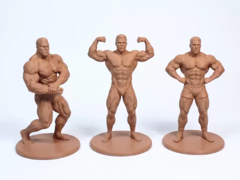 Bodybuilders
