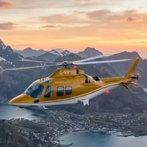 AW109 Luxury Scale Model Helicopter