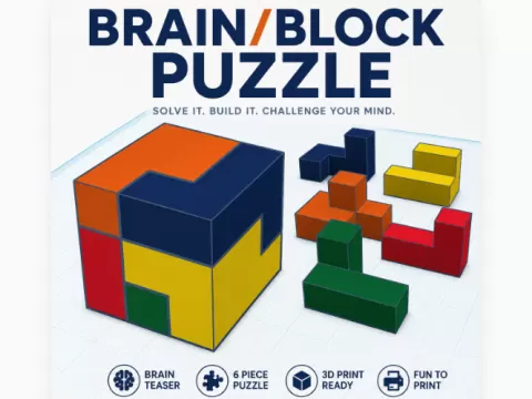Brain and Block Puzzle