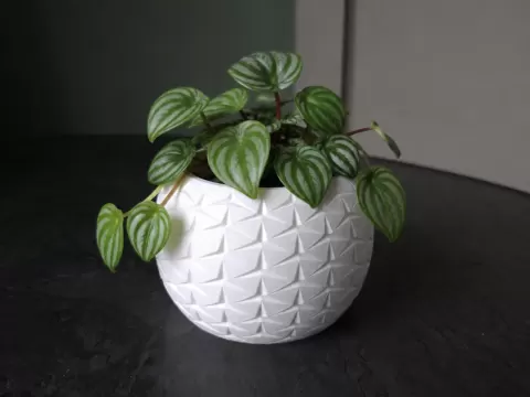 Geometric Planter Pot for Plants