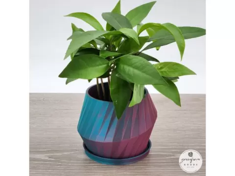 Low-Poly Modern Minimalist Planter