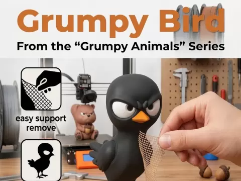 Grumpy Chick Bird From Grumpy Animals Series