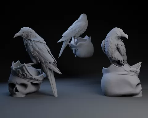 Crow On Skull