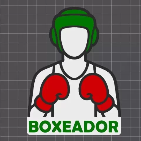 Profesion Boxeador