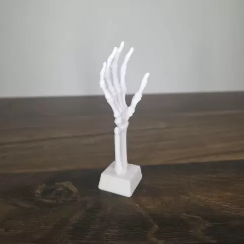 Skeleton Hand