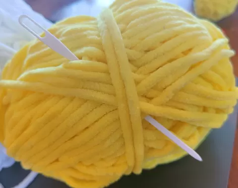 Just a darning needle