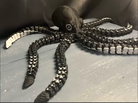 flexi+Kraken