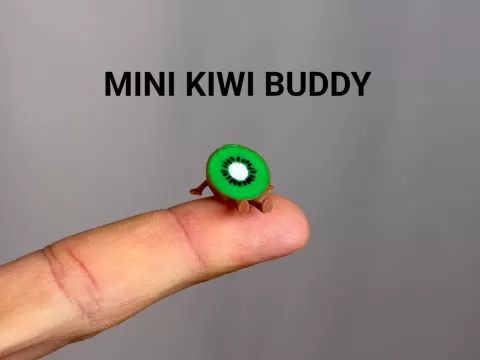Mini Kiwi Buddy