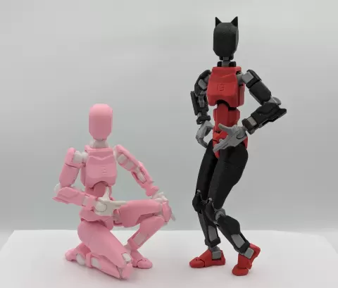 Dummy 13 Lady