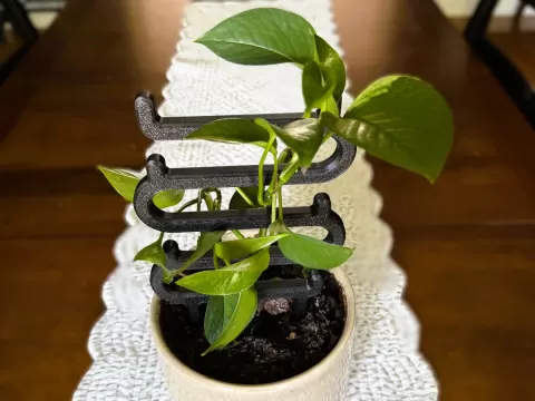 Simple Plant Support Frame | Potted Vine Trellis