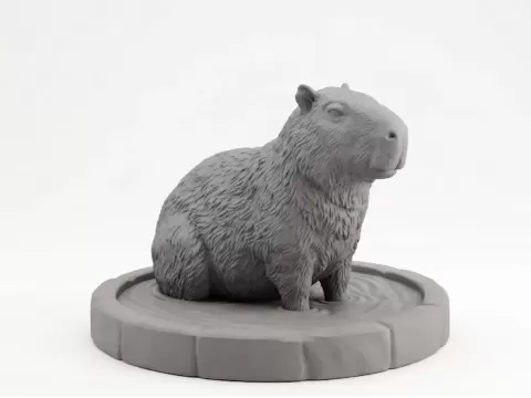 Capybara