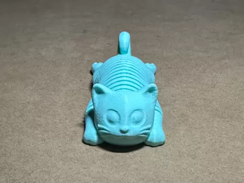 Springy Cat