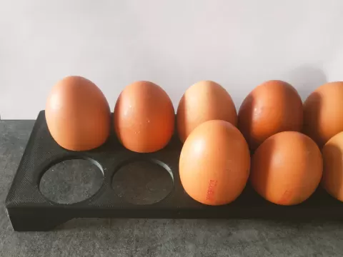 egg trayby Vasyl Ferkaliak