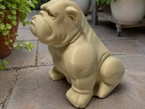 Bulldog