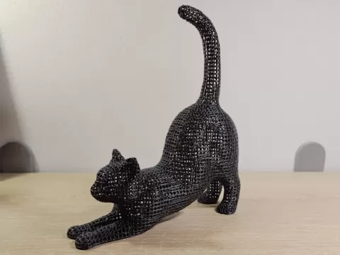 Stretching Cat