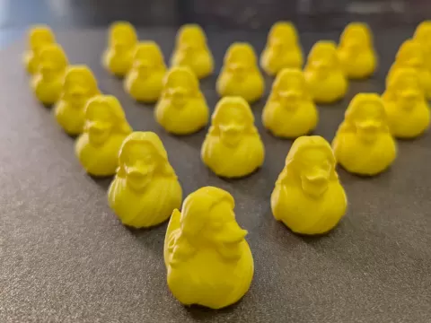 Jesus duck