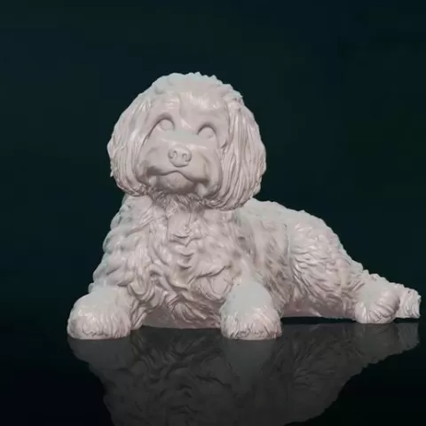 Labradoodle 3D Print Model