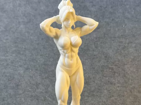 Body Builder