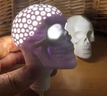 Skull bulbs