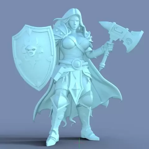 Medieval Warrior D & D