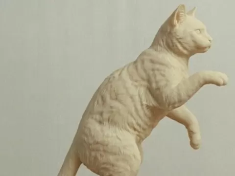 Kitten - simple and easy to print