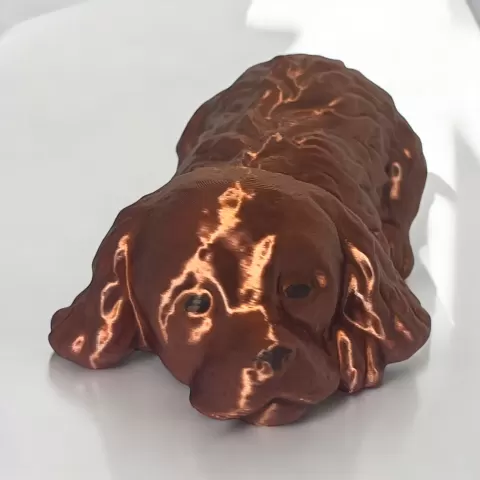 Cocker spaniel sleepingby Motek3D